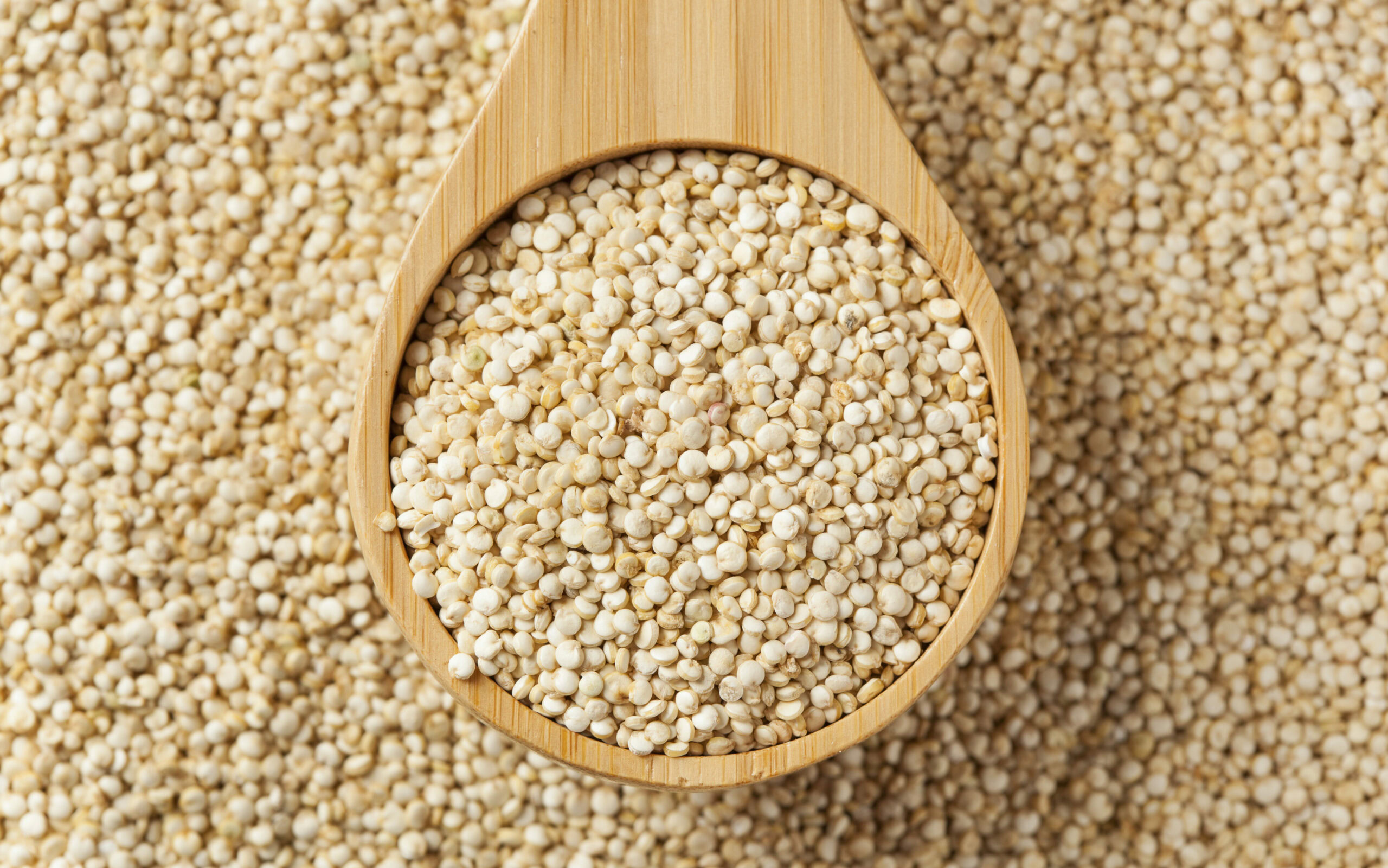 Good Carb - Quinoa