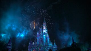 Top 10 Reasons Disney Is Not the Ideal Family Vacation