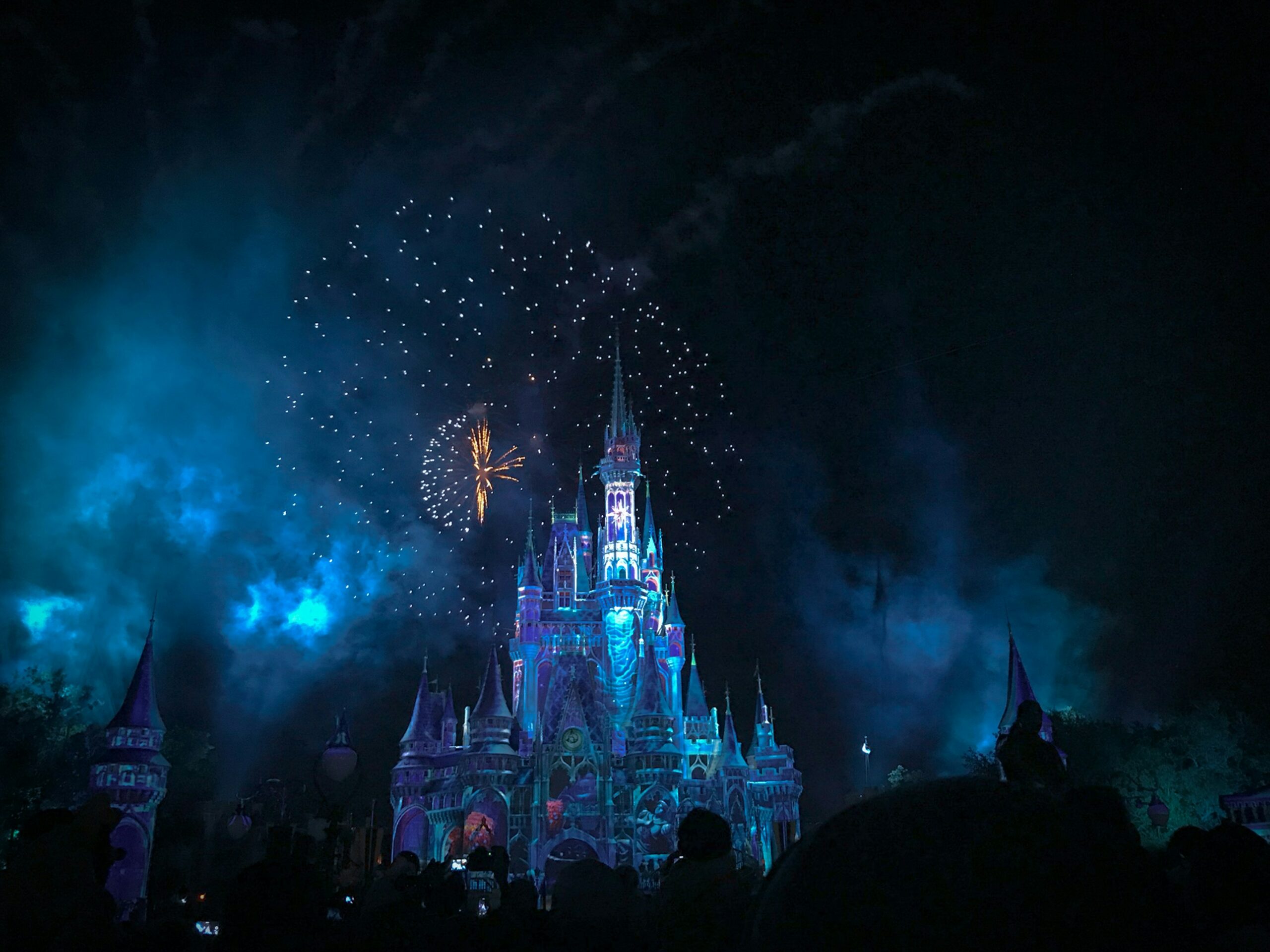 10 Reasons A Disney Vacation May Not Be the Ideal Family Trip